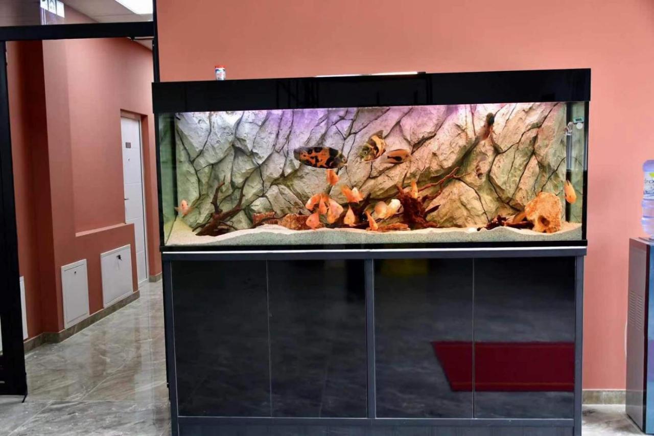 Asuka Apartmani 飞鸟客 Surčin المظهر الخارجي الصورة