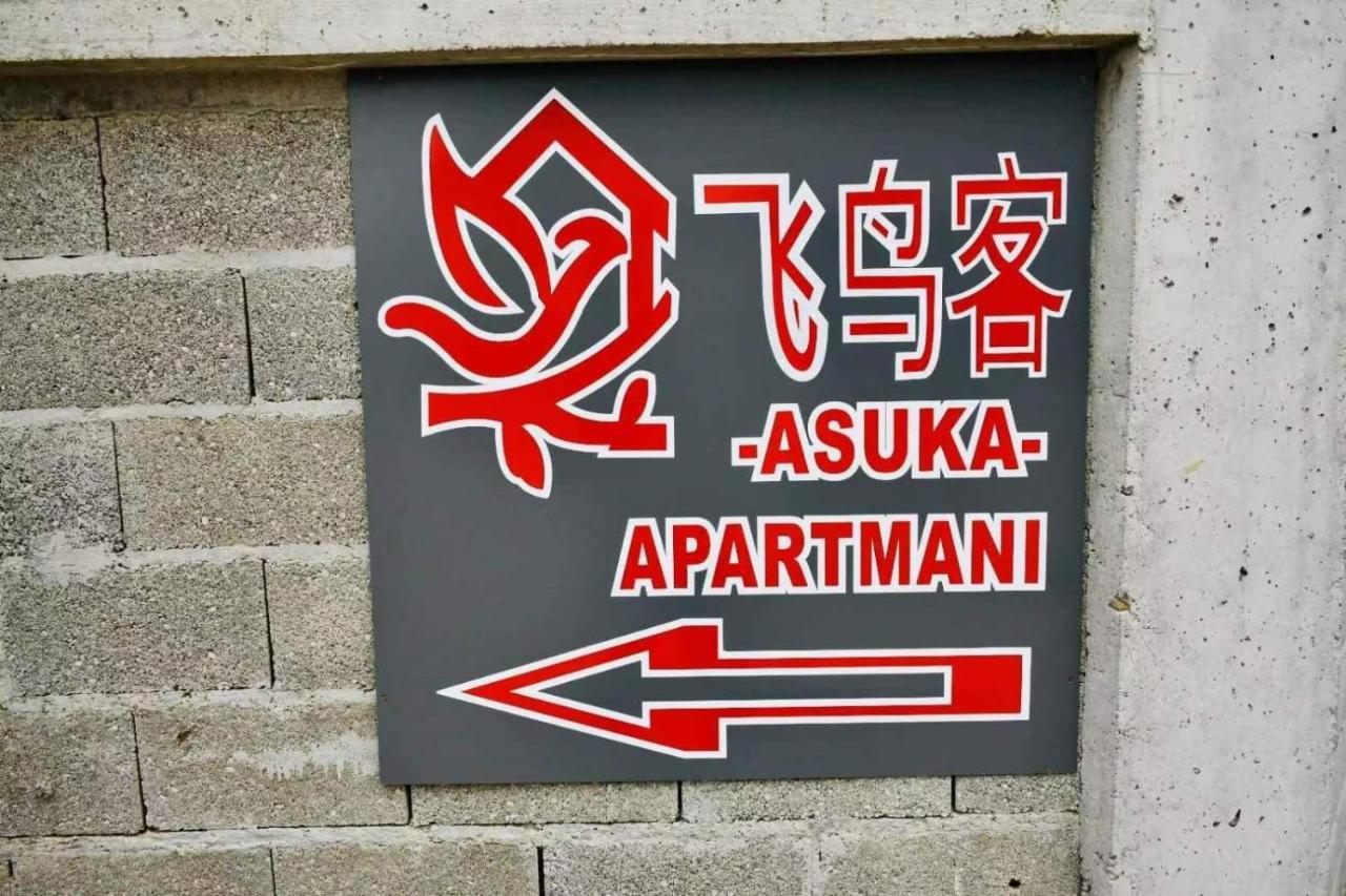 Asuka Apartmani 飞鸟客 Surčin المظهر الخارجي الصورة